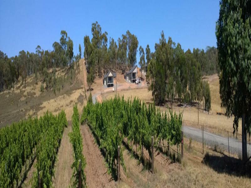 Neagles Retreat Villas Clare Bagian luar foto